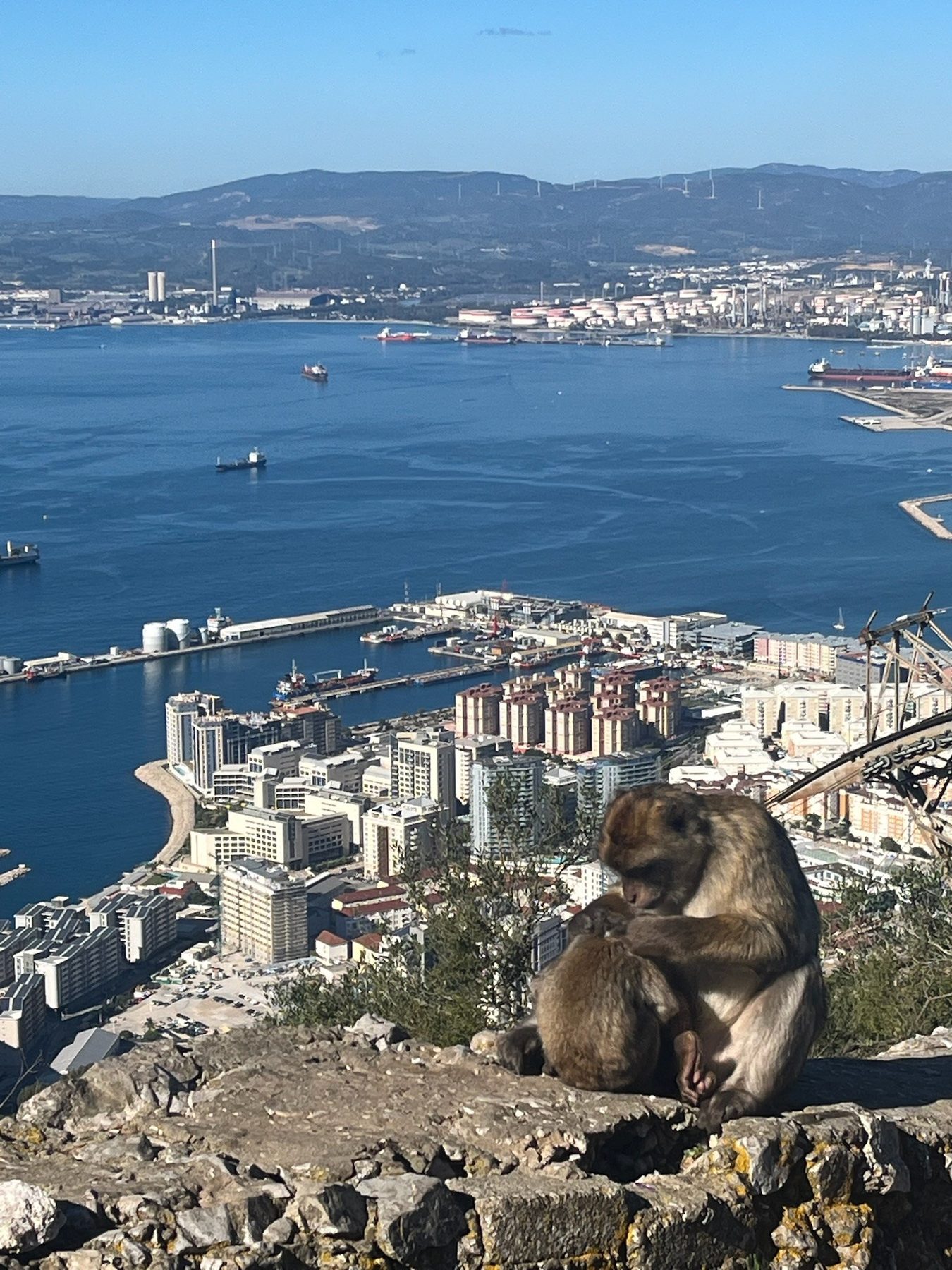 Family Adventurer